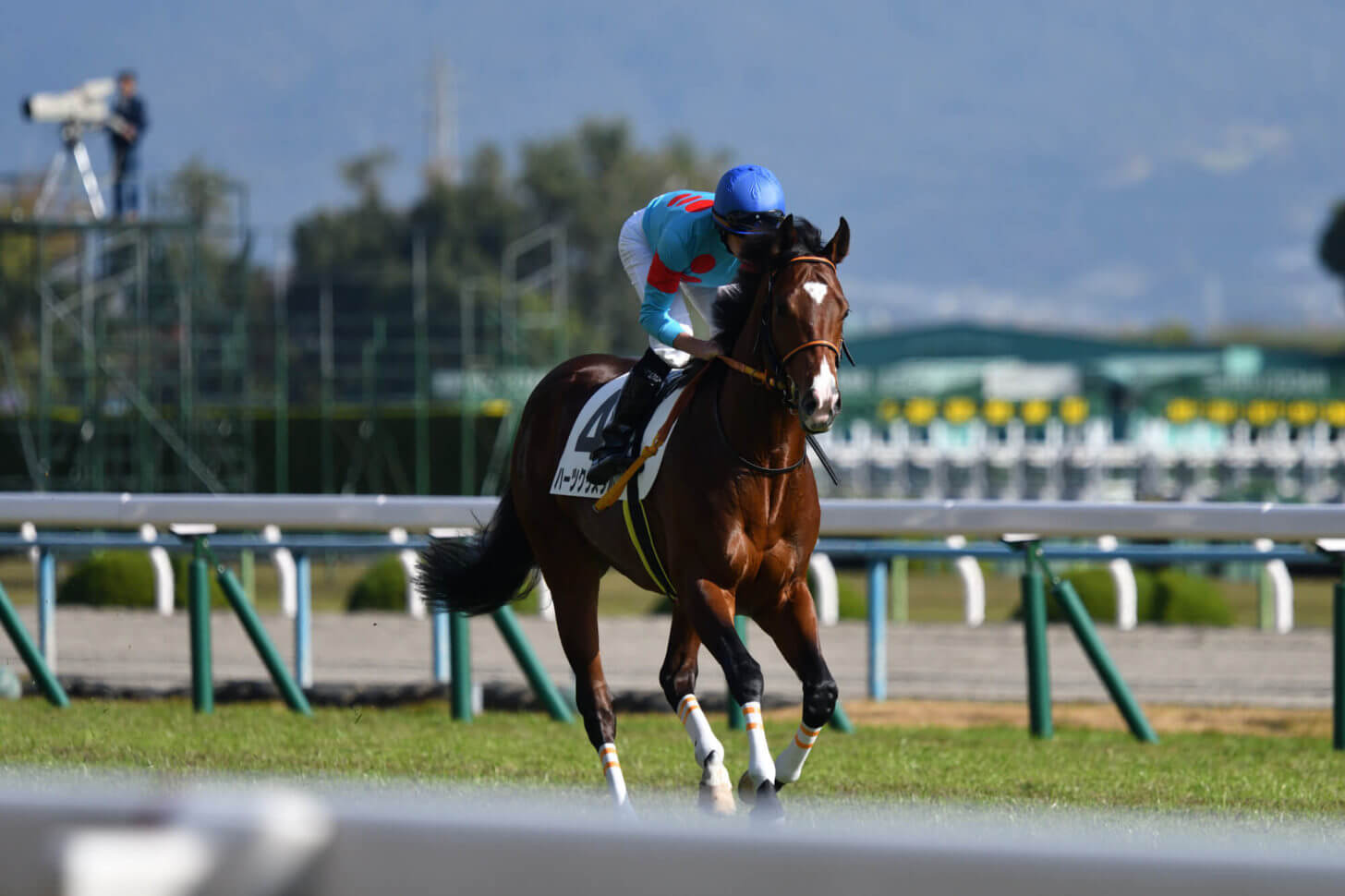 ハーツクリスタルデビュー戦返し馬