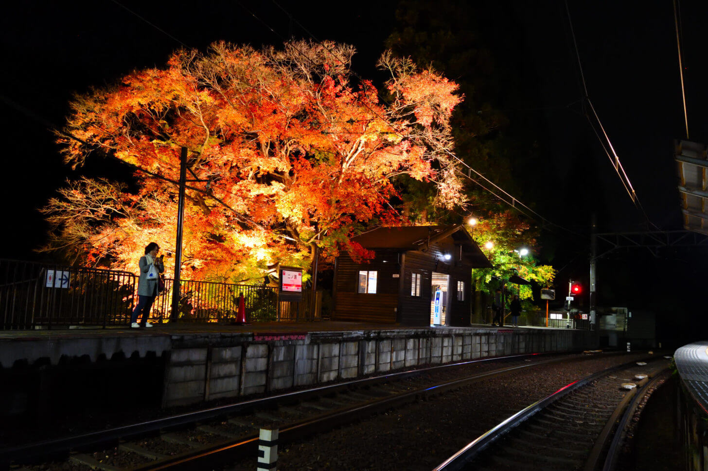 叡山電車鞍馬線・二ノ瀬駅紅葉ライトアップ