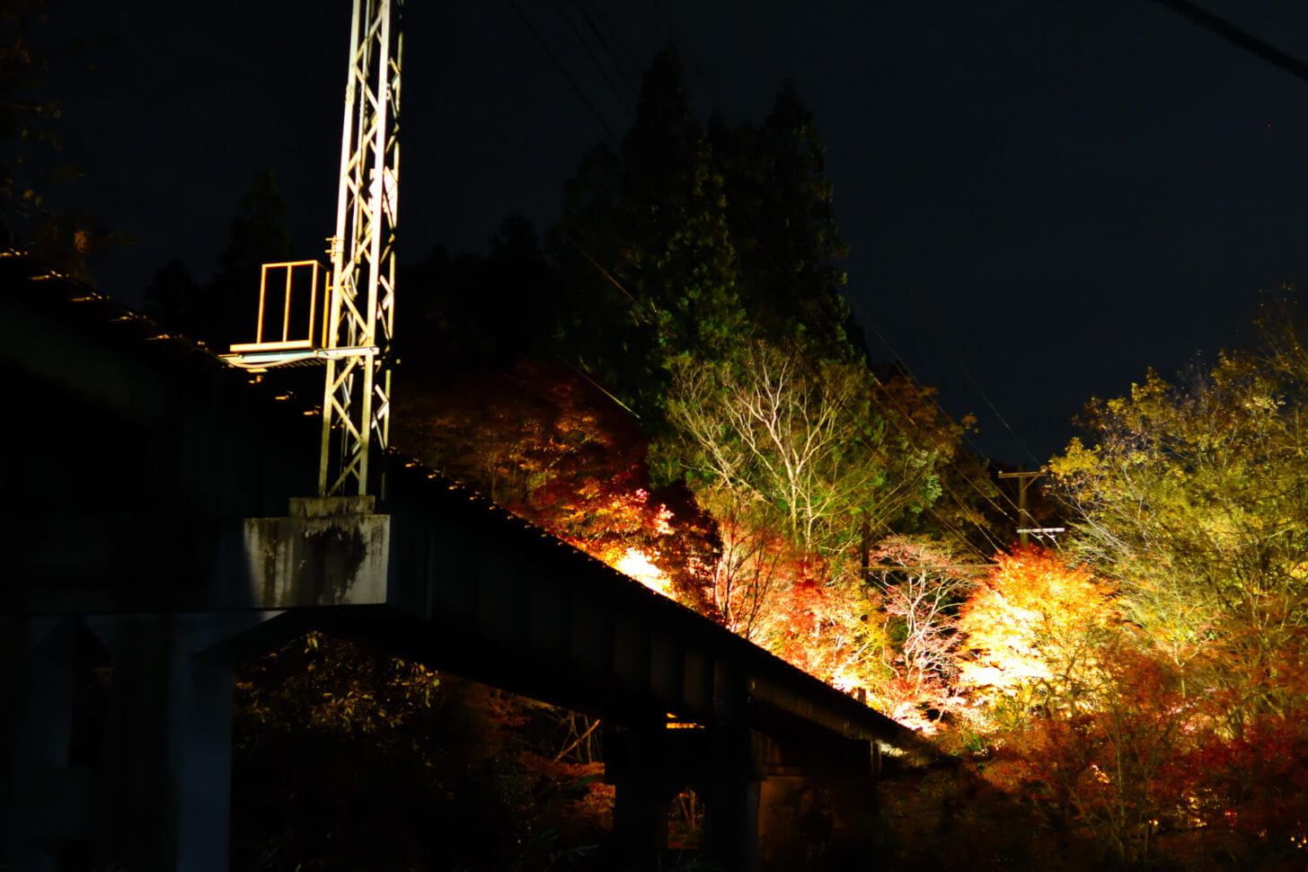 叡山電車・もみじのトンネル北側の鉄橋