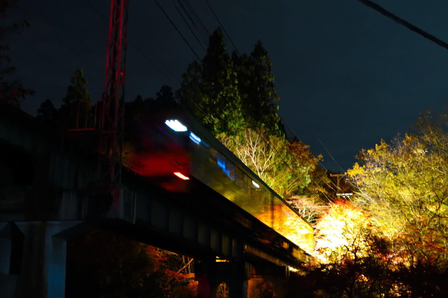 もみじのトンネル北側の鉄橋を走る叡山電車