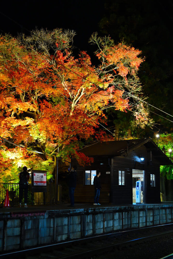 叡山電車鞍馬線・二ノ瀬駅紅葉ライトアップ