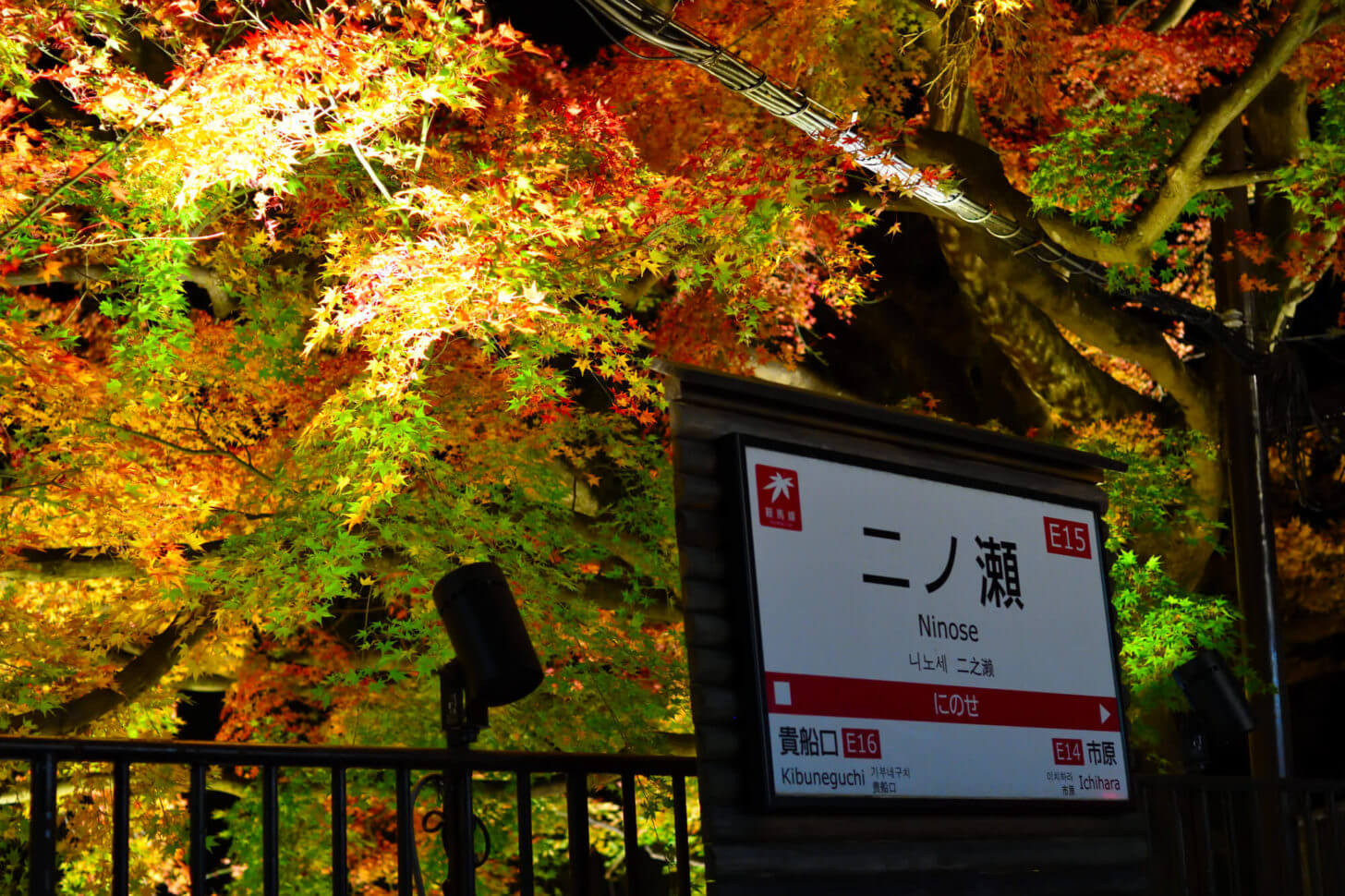 叡山電車鞍馬線・二ノ瀬駅紅葉ライトアップ