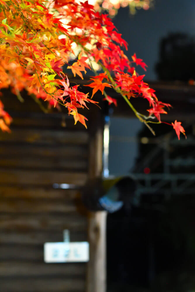 叡山電車鞍馬線・二ノ瀬駅紅葉ライトアップ