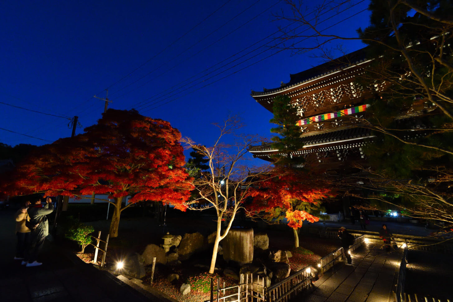 金戒光明寺 山門紅葉ライトアップ2019