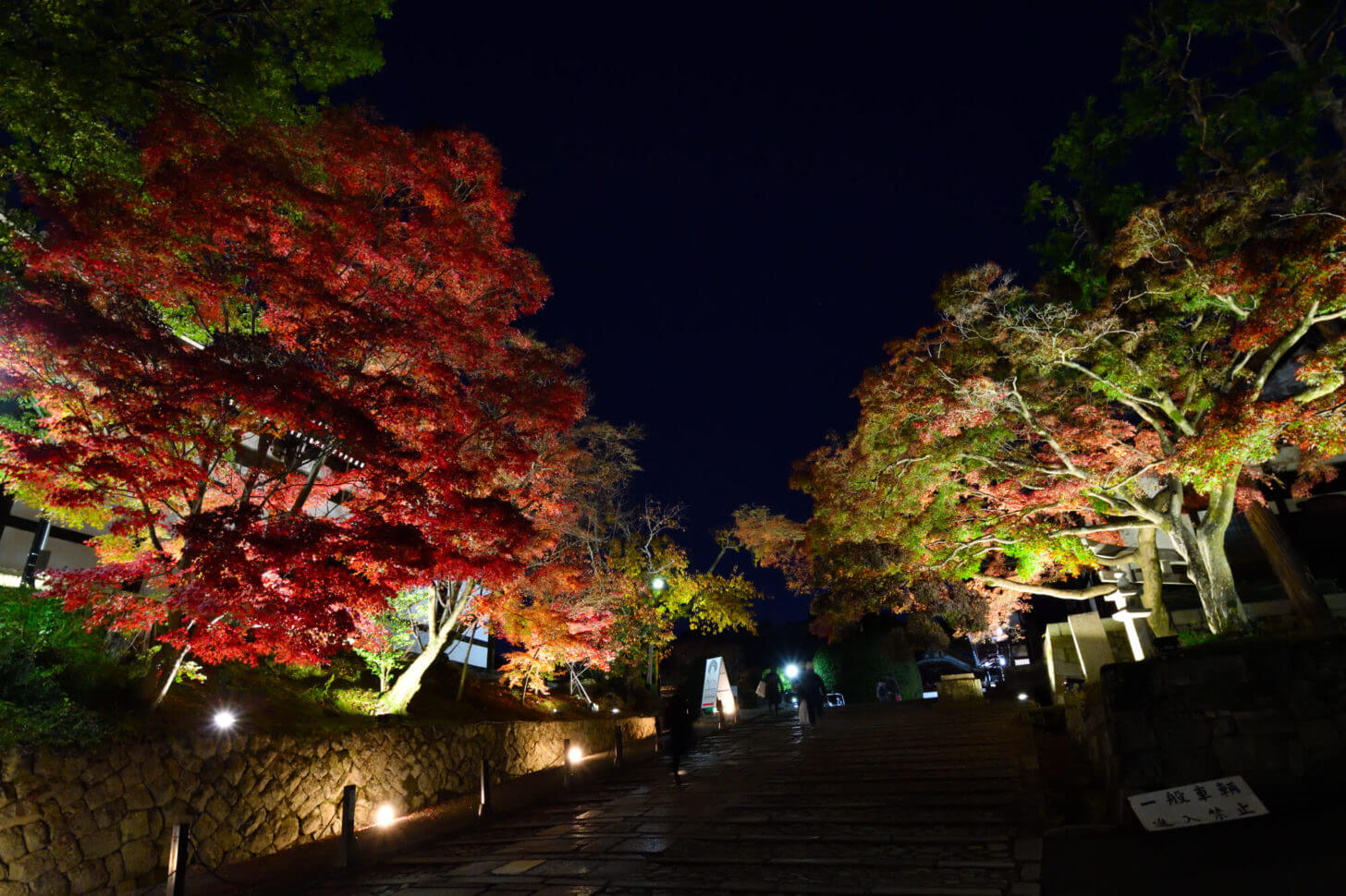 金戒光明寺 紅葉ライトアップ2019