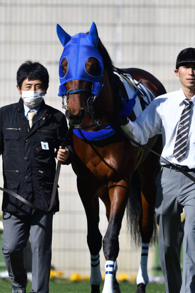 ヒートオンビート2戦目パドック