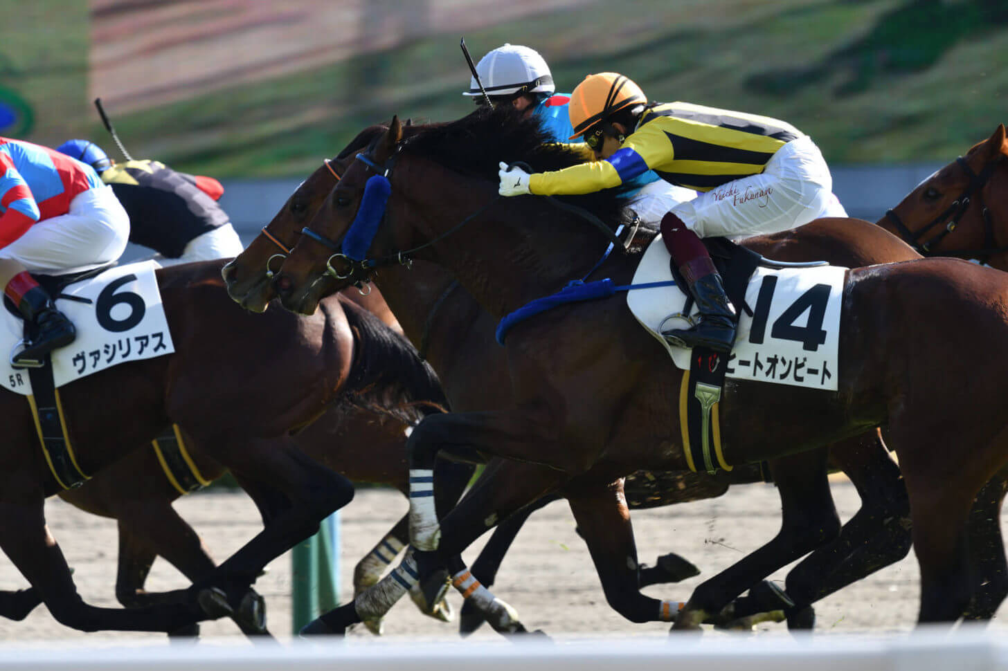 ハーツクリスタルとヒートオンビートの併せ馬