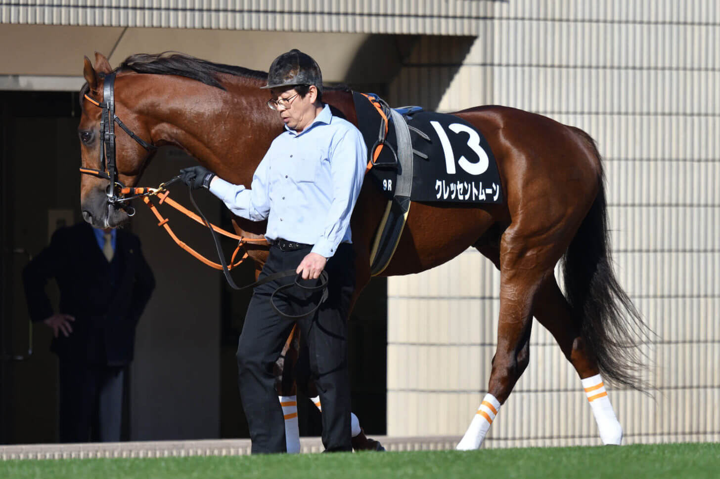 クレッセントムーン7戦目パドック