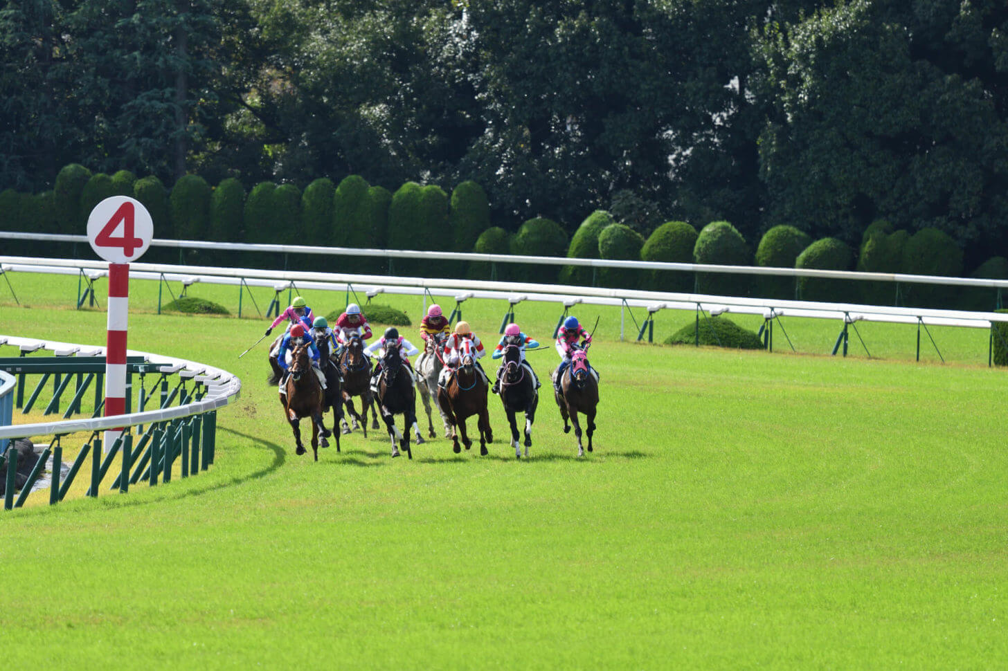 京都競馬場内回り4コーナー