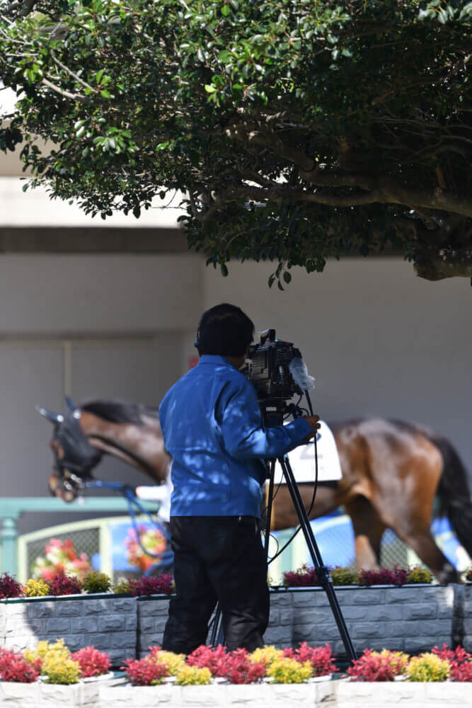 京都競馬場円形パドックの風景