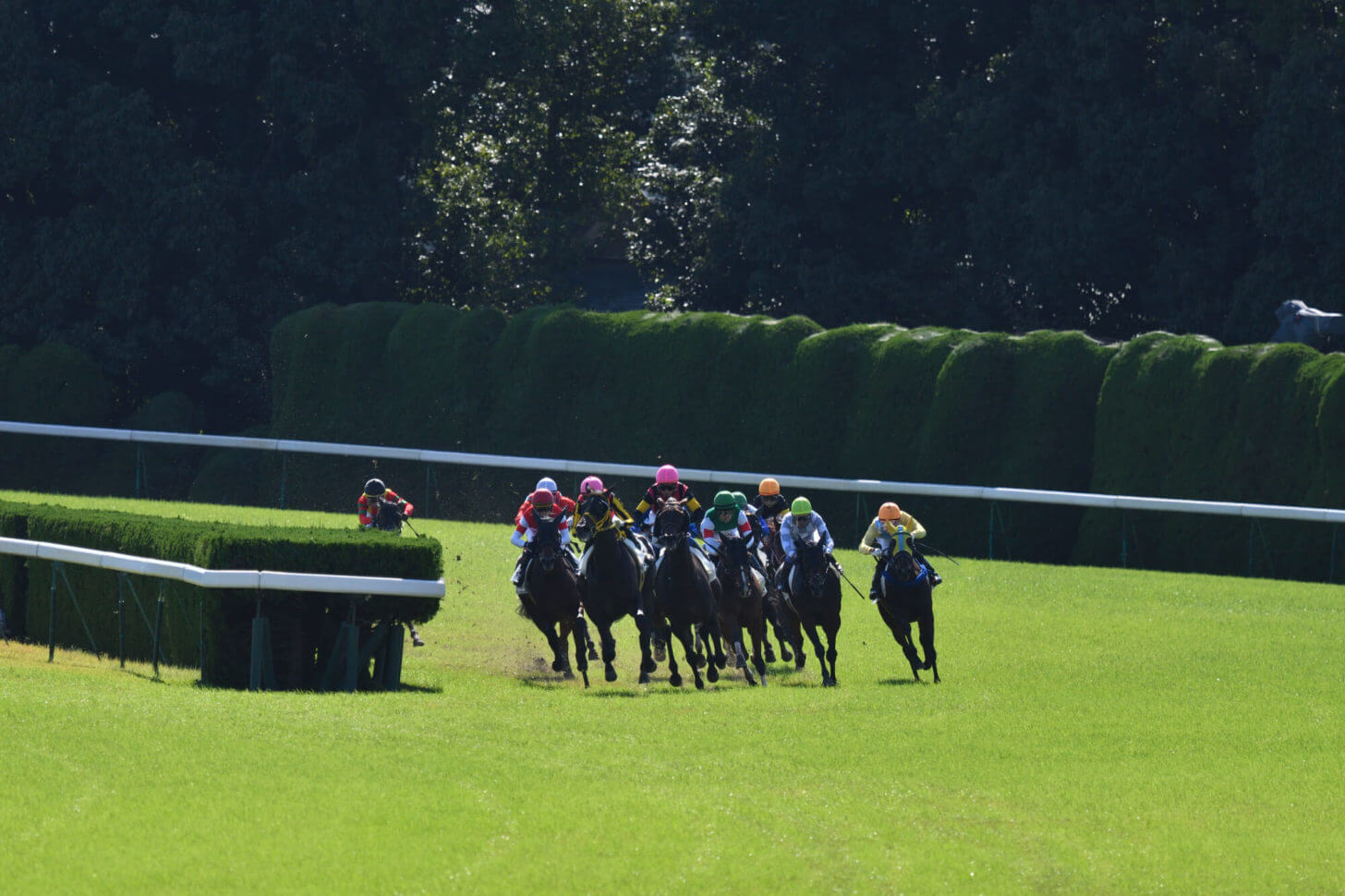 京都競馬場外回り4コーナー