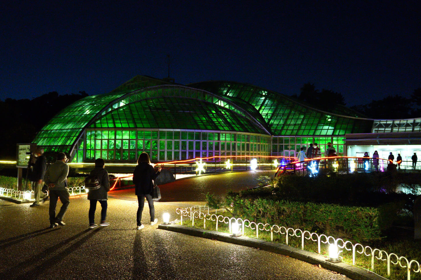 京都府立植物園「世界の紅葉ライトアップ」での観覧温室