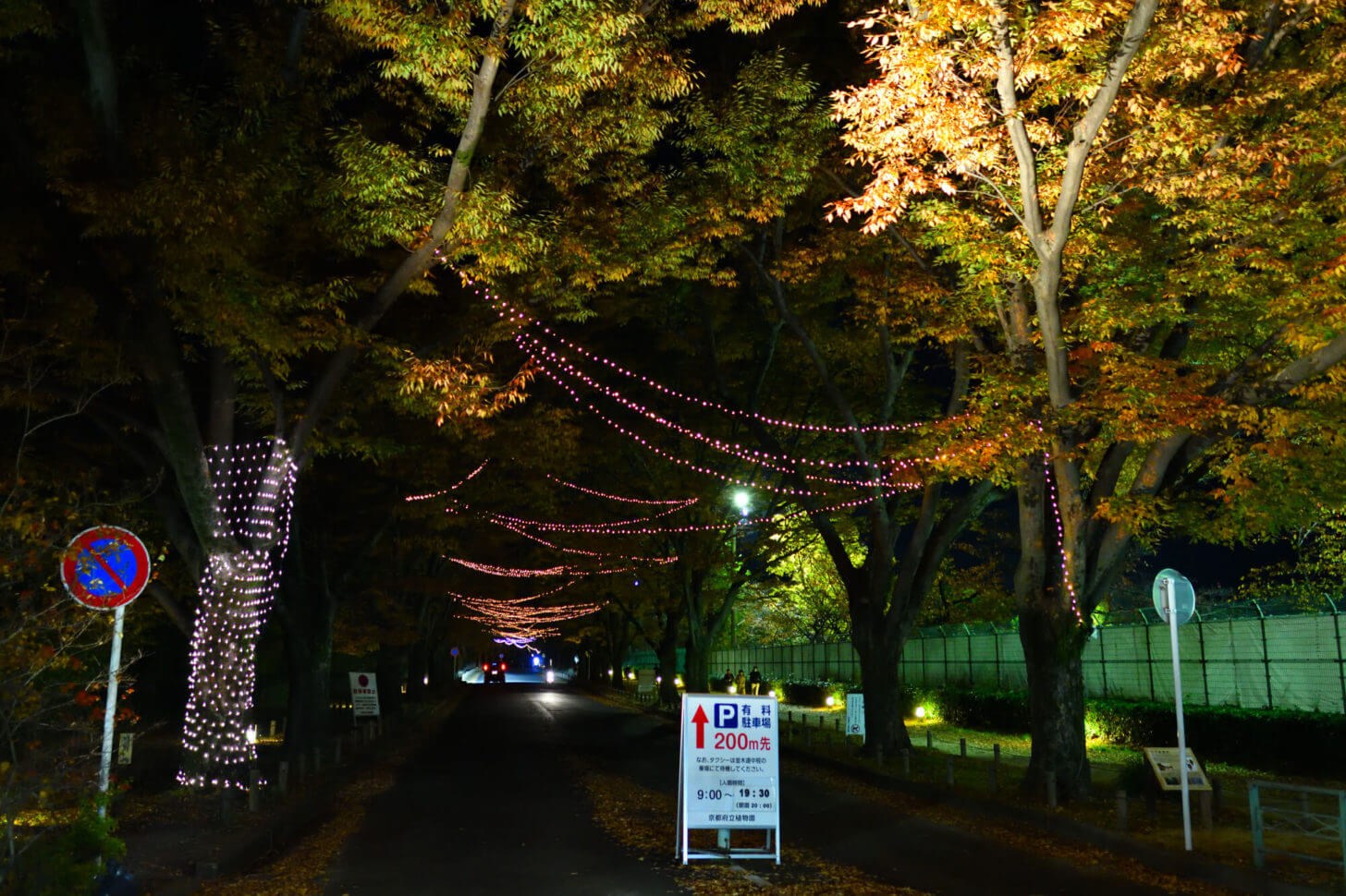 京都府立植物園「世界の紅葉ライトアップ」