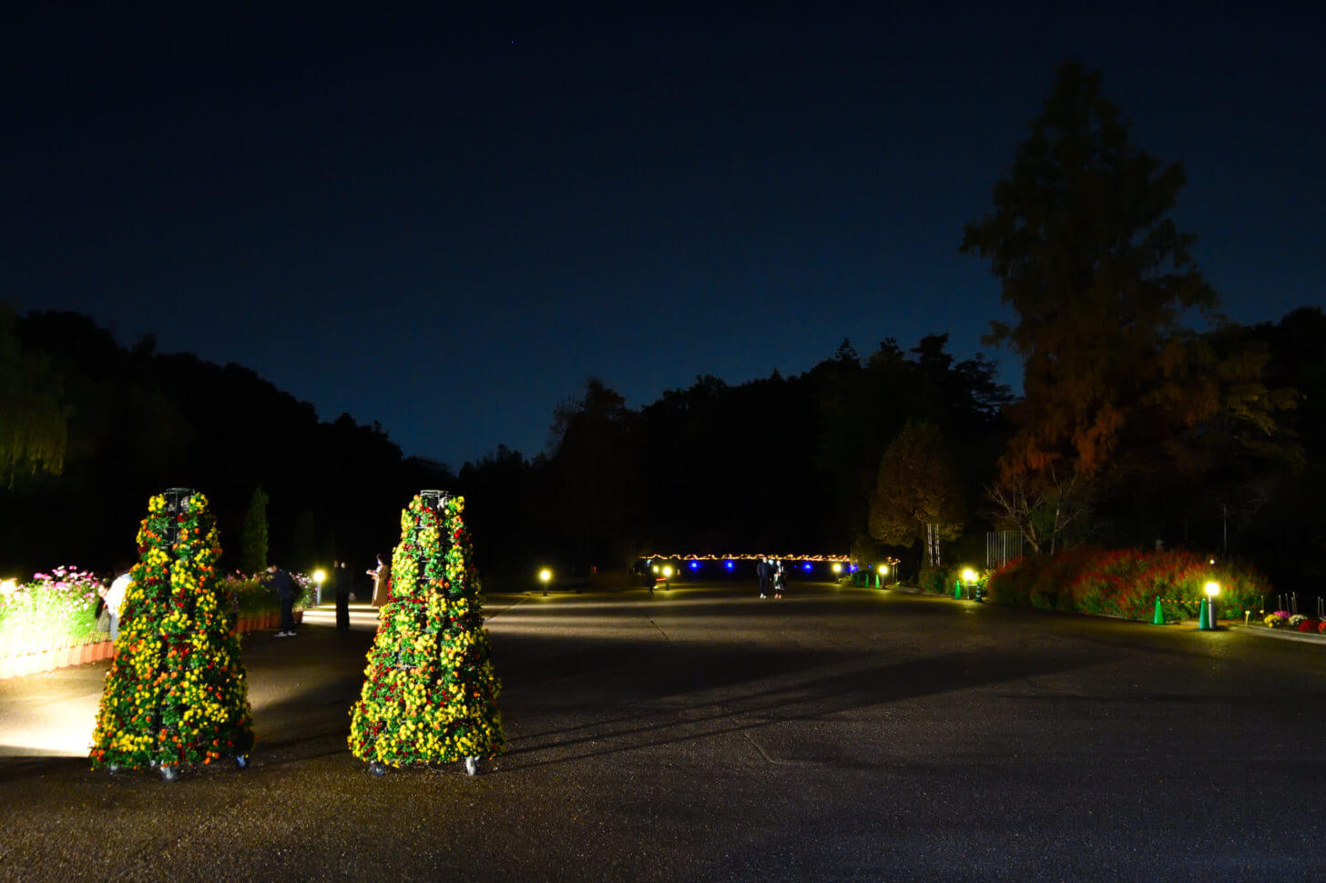 京都府立植物園「世界の紅葉ライトアップ」