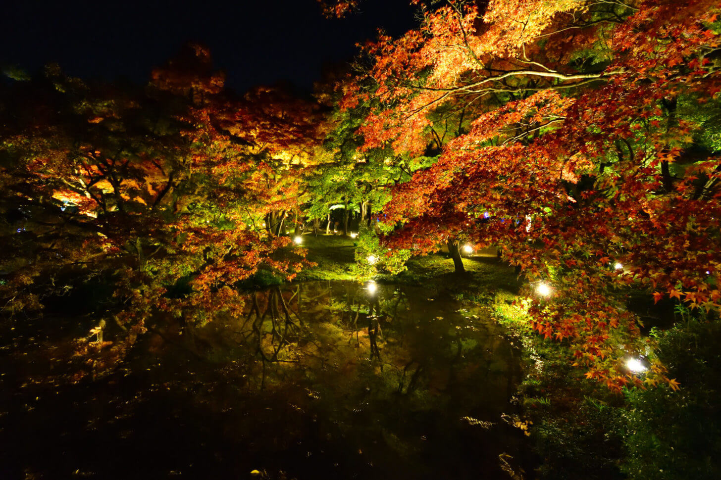 京都府立植物園「世界の紅葉ライトアップ」のリフレクション