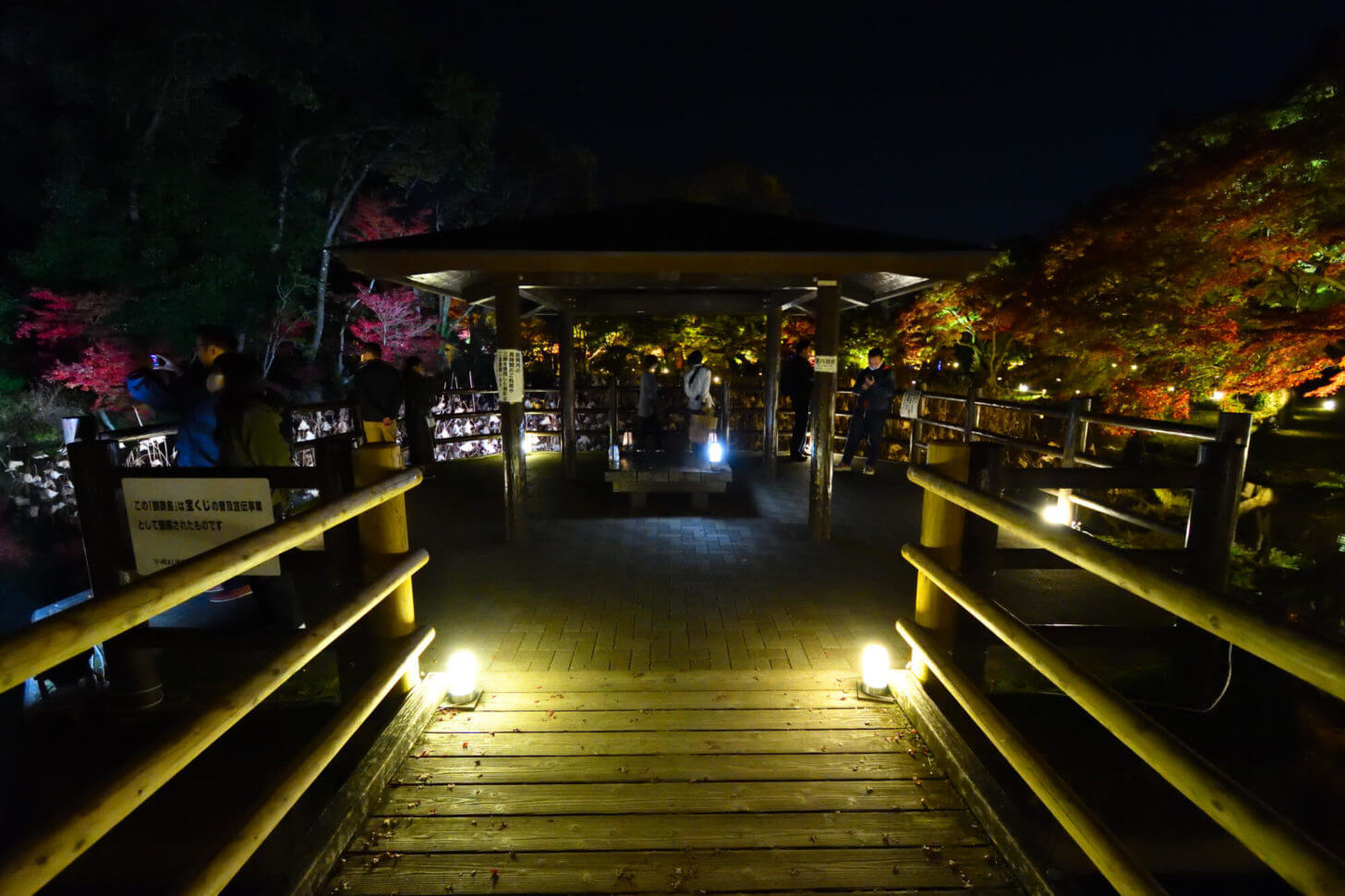 京都府立植物園「世界の紅葉ライトアップ」