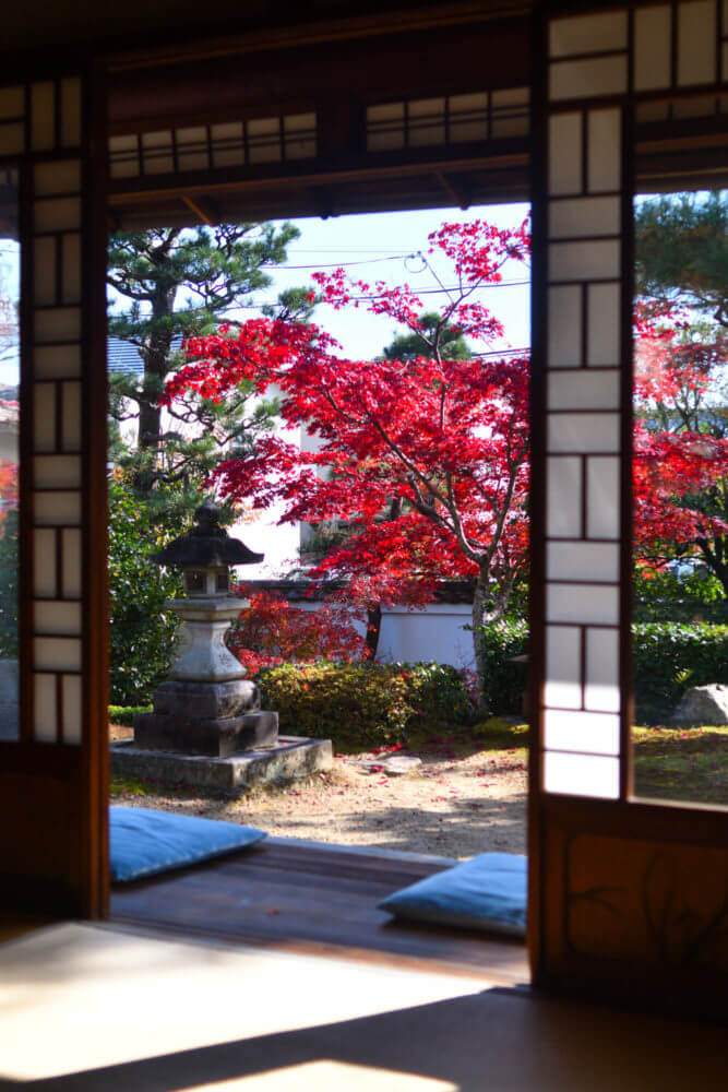 岩倉具視幽棲旧宅 鄰雲軒から障子戸越しに見る紅葉