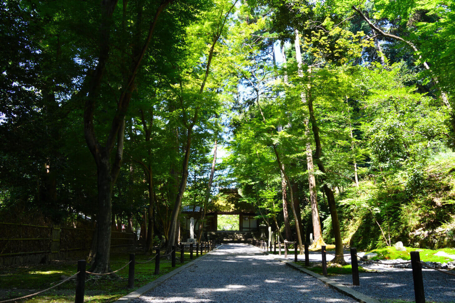 法然院参道