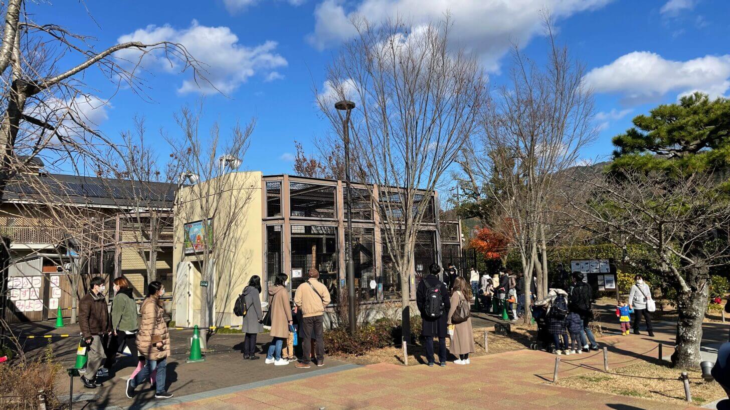 京都市動物園 もうじゅうワールドのトラエリア