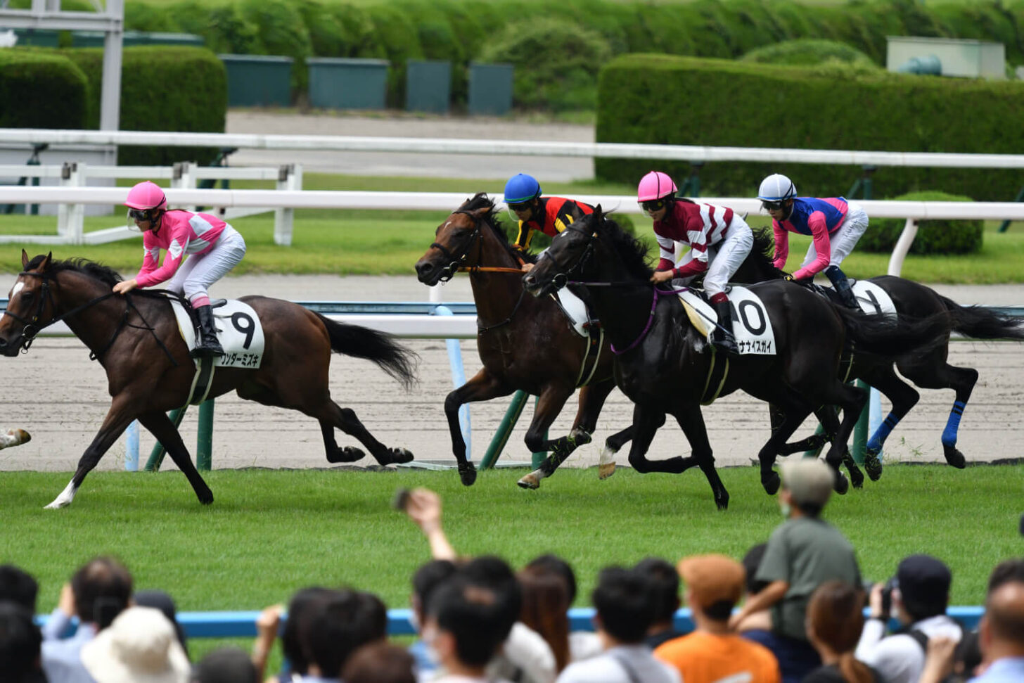 ネアセリーニデビュー戦