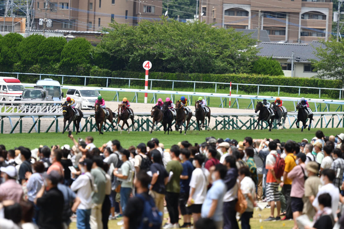 ネアセリーニデビュー戦