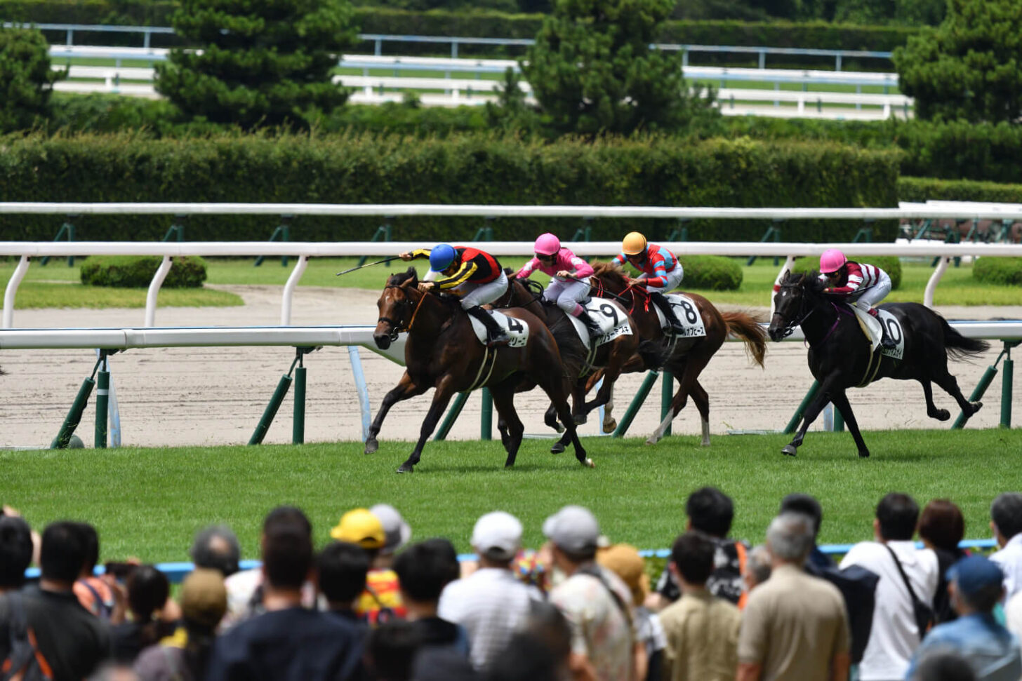 ネアセリーニデビュー戦