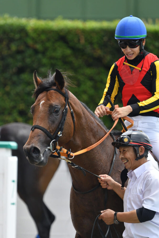 ネアセリーニデビュー戦レース後