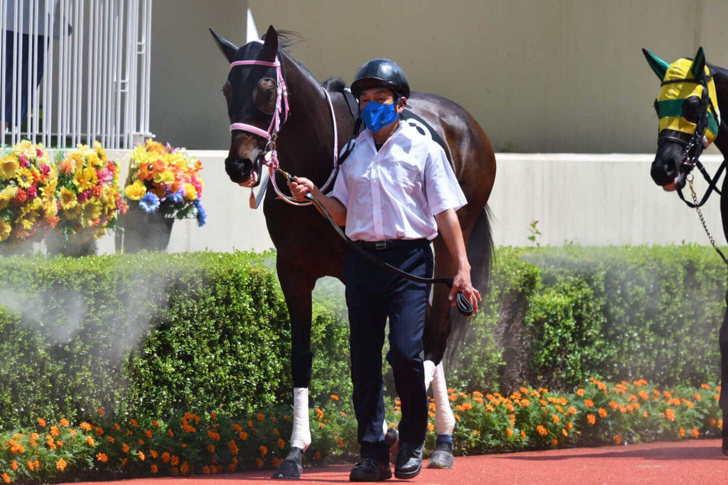 カラレーション14戦目パドック