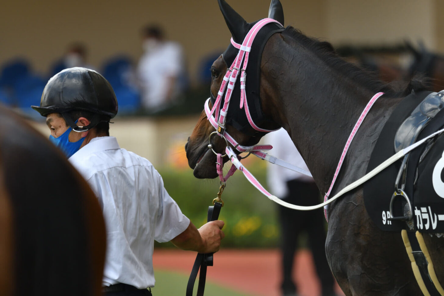 カラレーション14戦目パドック