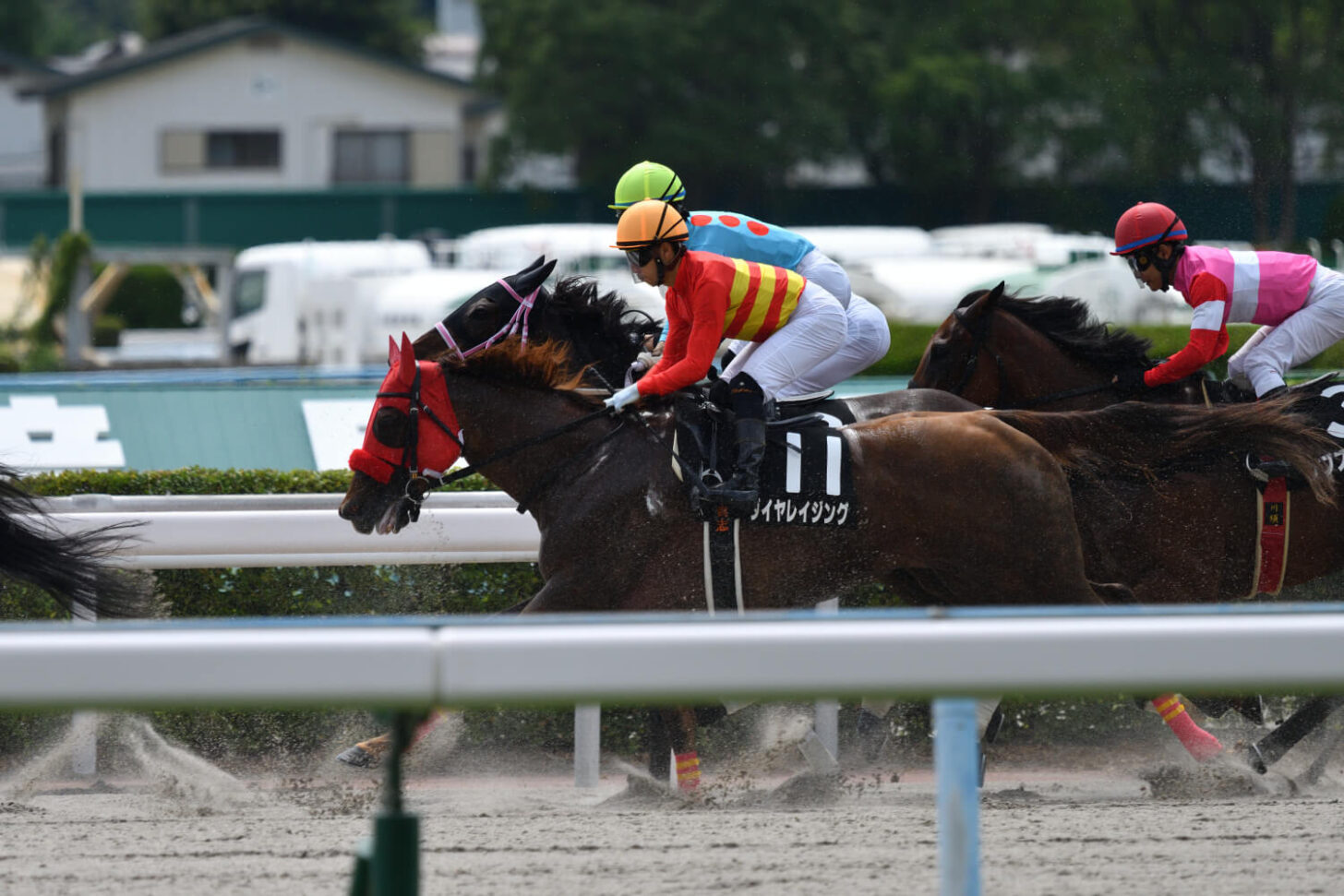 カラレーション14戦目レース