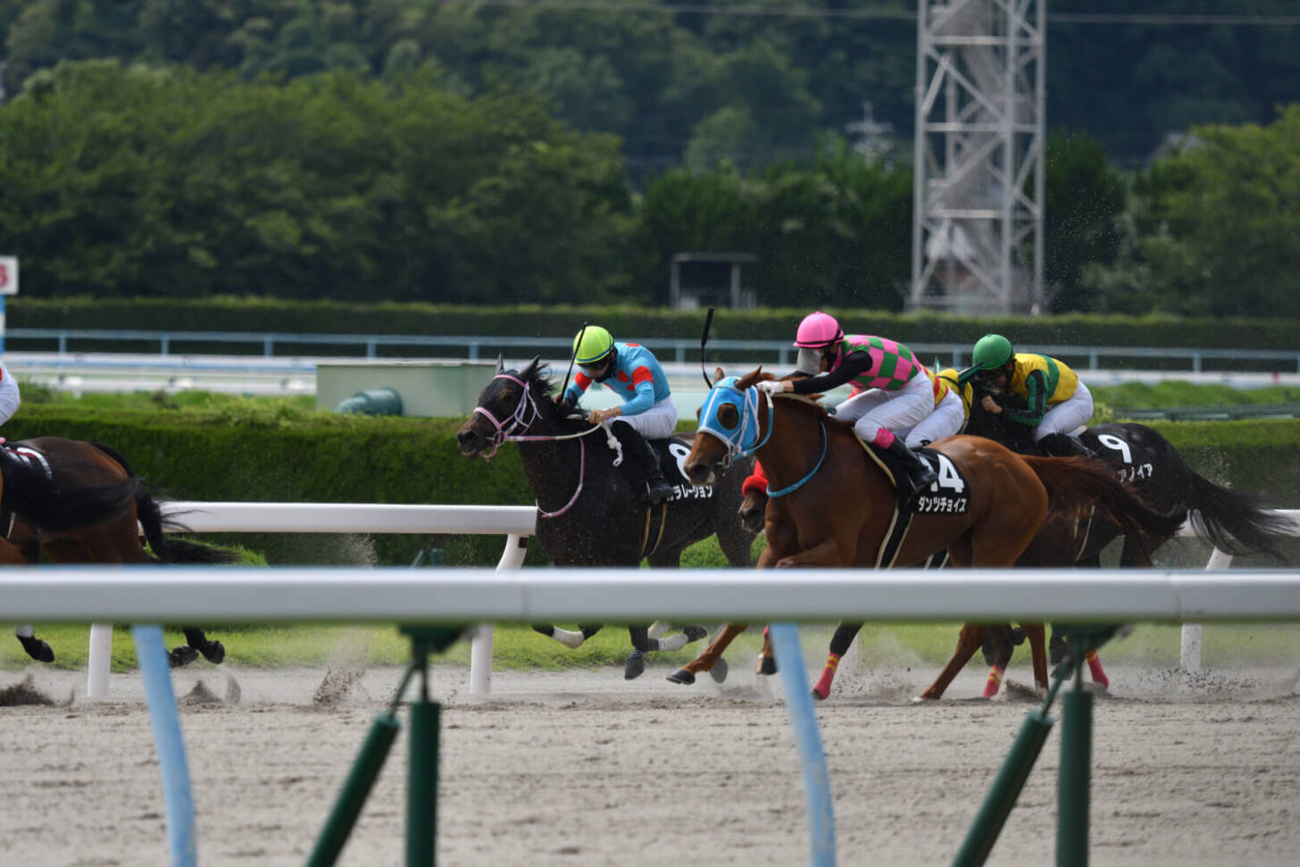 カラレーション14戦目レース