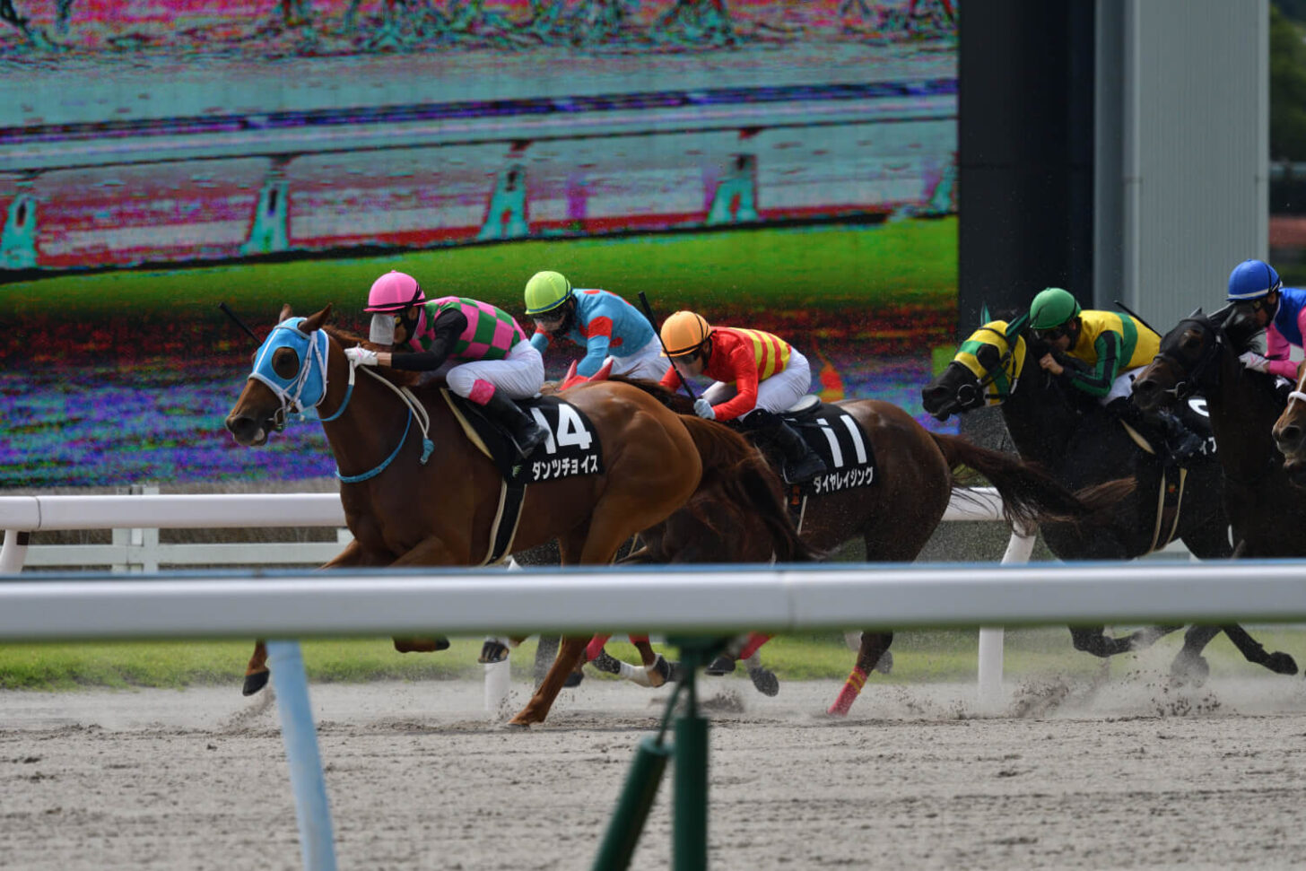 カラレーション14戦目レース