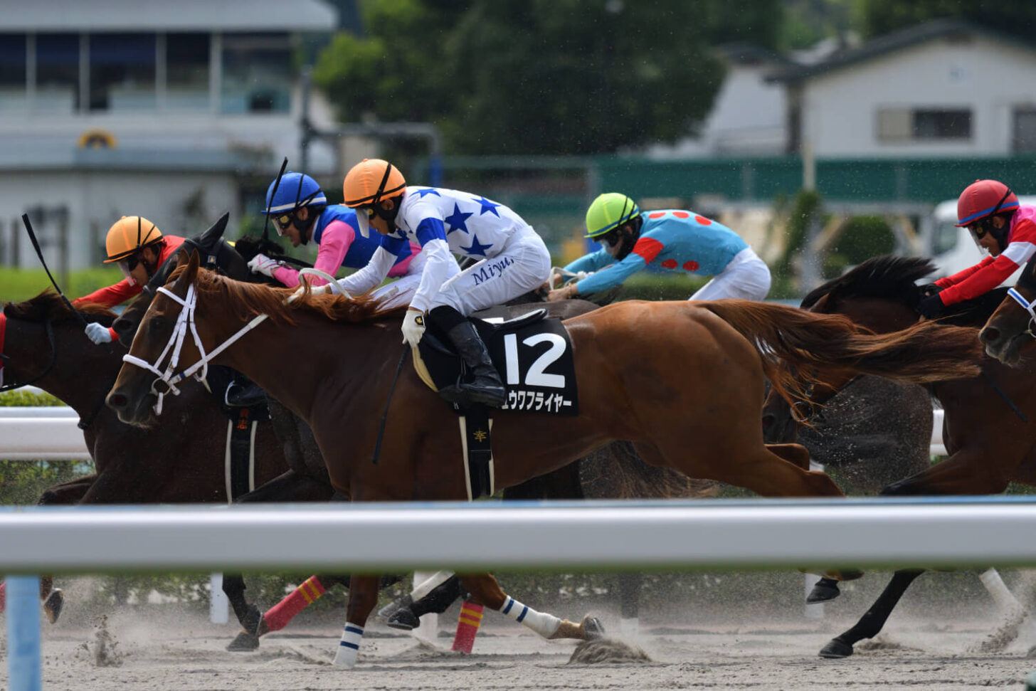 カラレーション14戦目レース