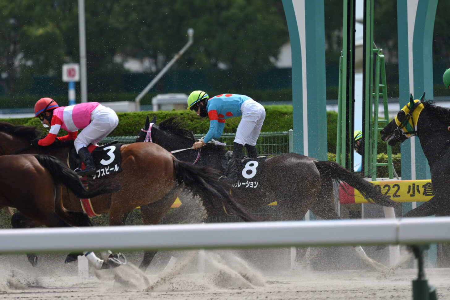 カラレーション14戦目レース