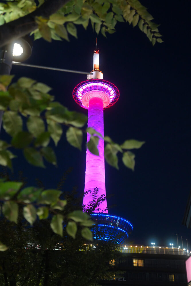 ピンク色に輝く夜の京都タワー