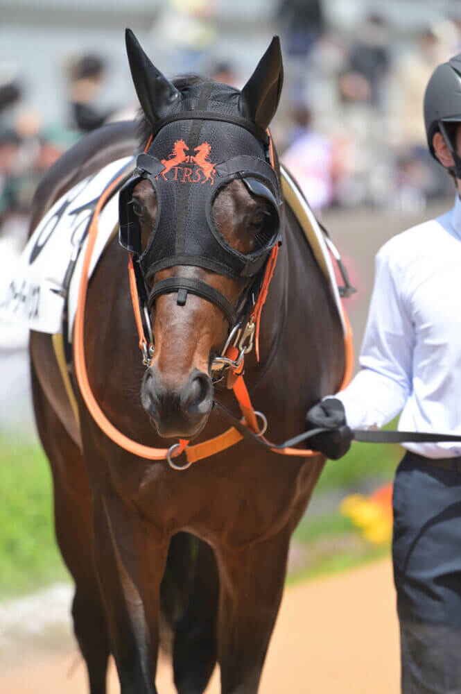 ウォーターハウス 9戦目パドック