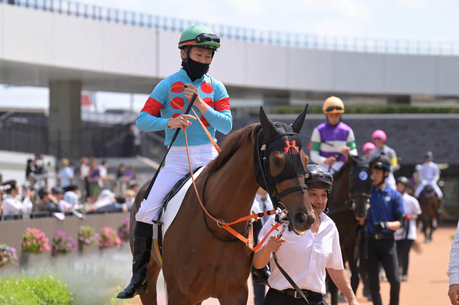 レイナドラーダ2戦目パドック