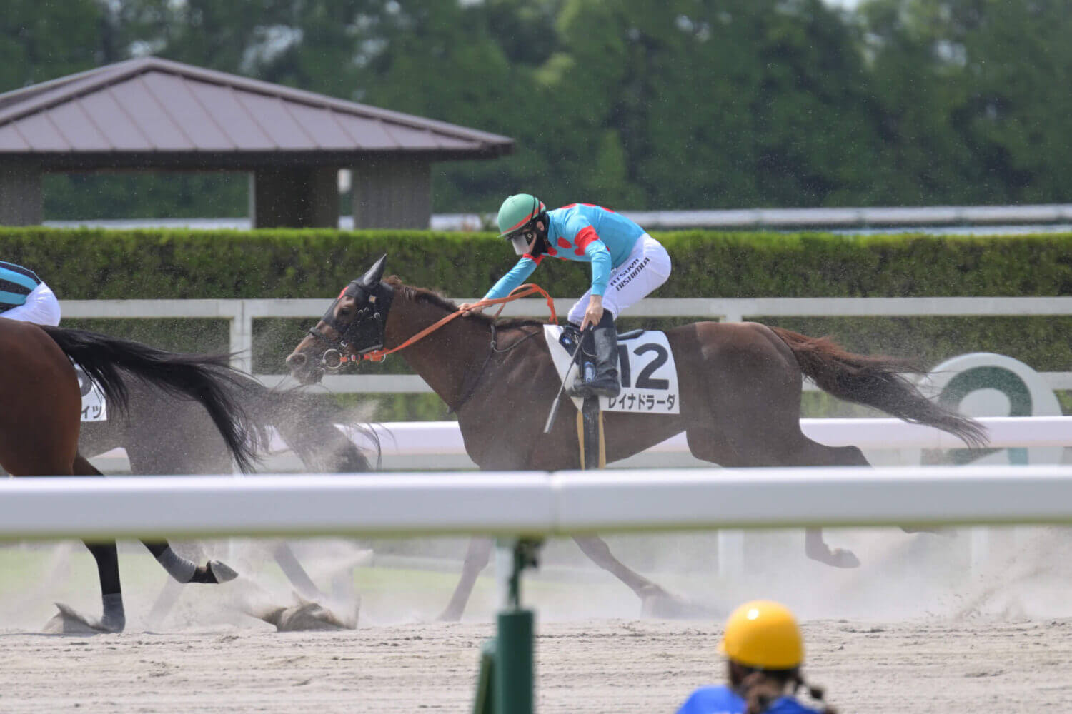 レイナドラーダ2戦目最後の直線