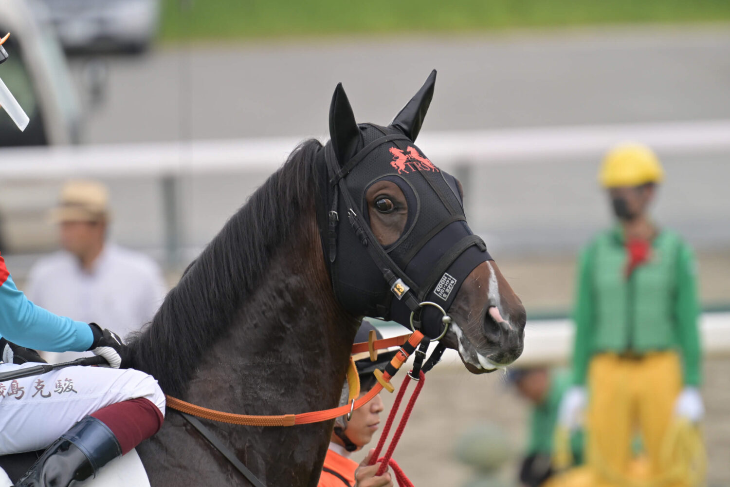 インターポーザー デビュー戦レース前