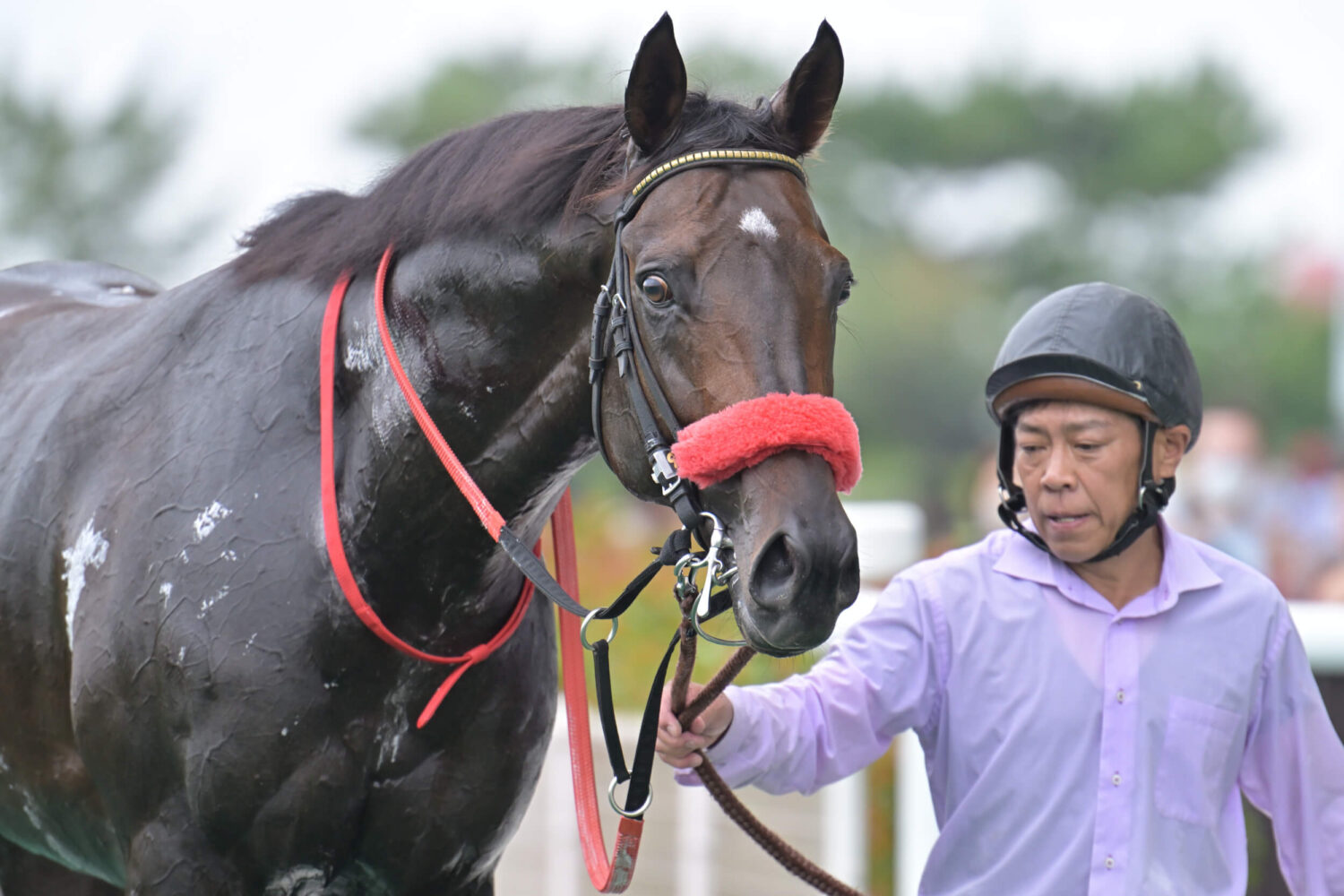 リンドラゴ 21戦目ウィナーズサークル