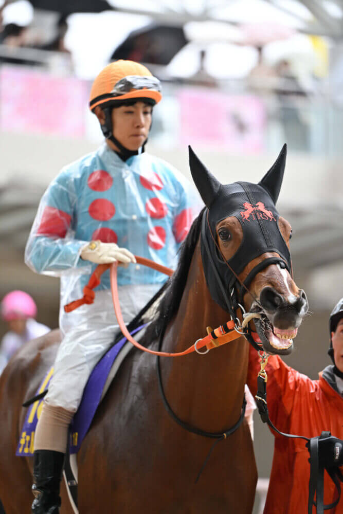 チェルビアット 桜花賞パドック