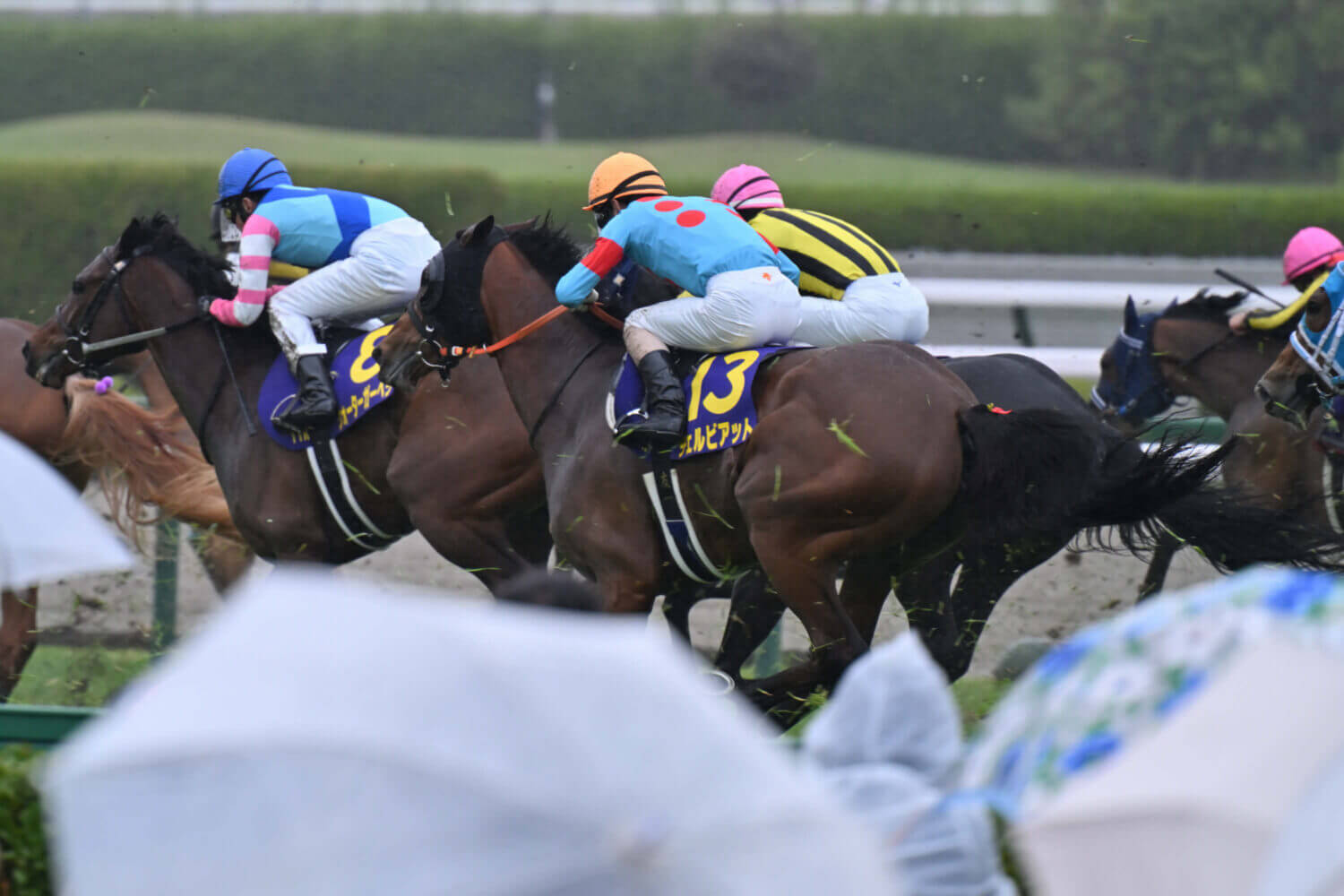 チェルビアット 桜花賞レース写真