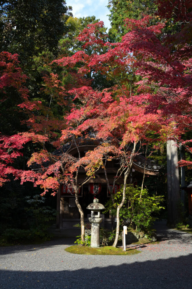 赤山禅院 弁財天堂の紅葉