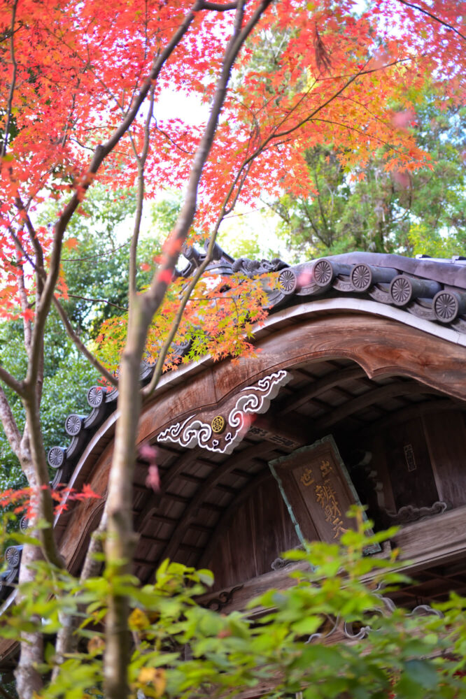 赤山禅院 弁財天堂の紅葉