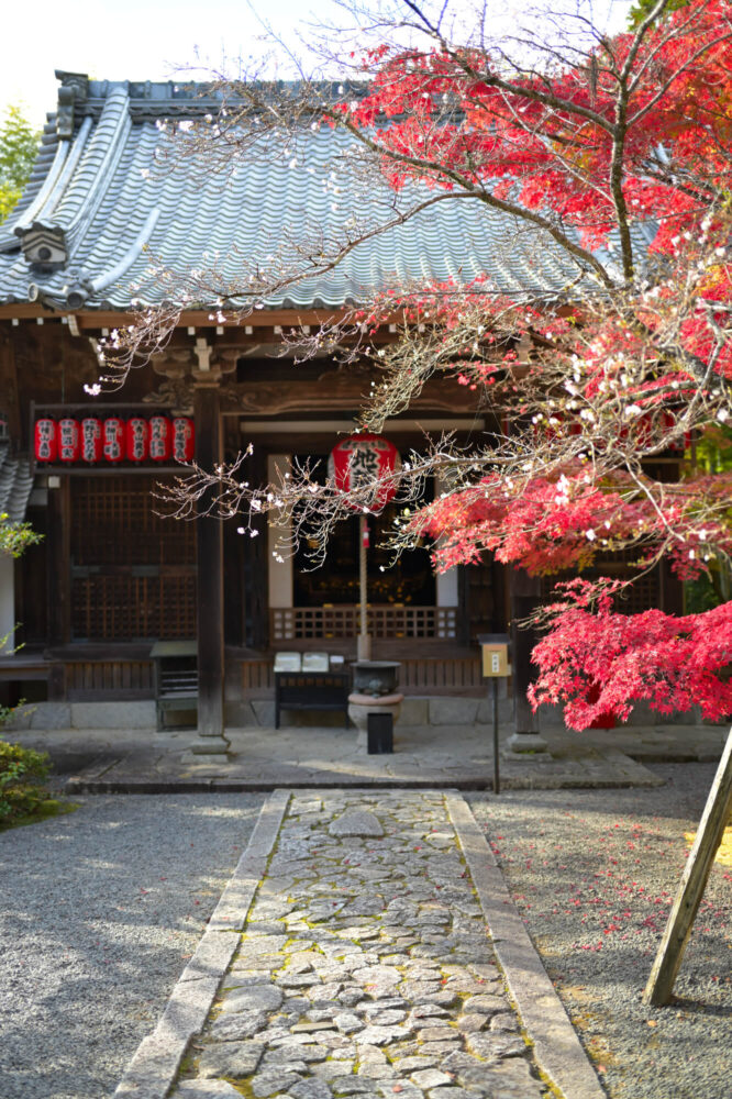 赤山禅院 地蔵堂（本地堂）の紅葉