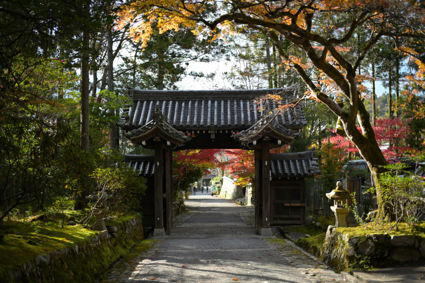 赤山禅院の紅葉