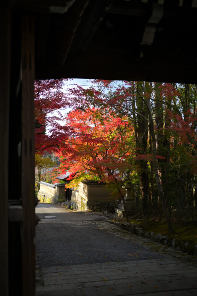 赤山禅院 山門の紅葉