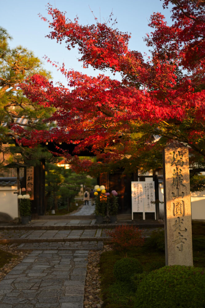 圓光寺山門の紅葉