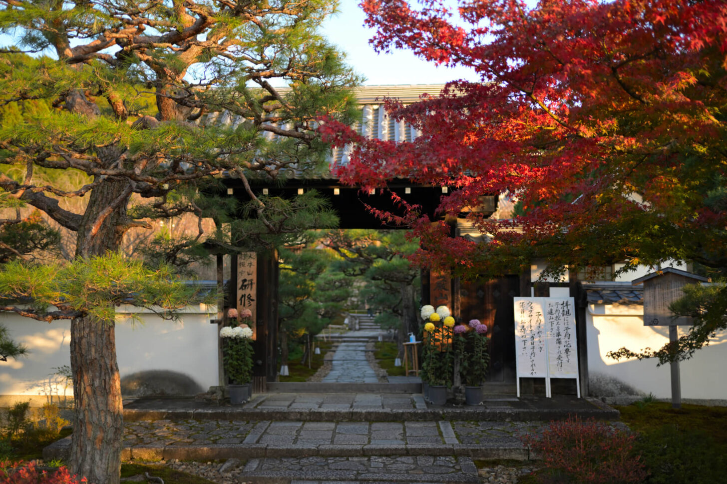 圓光寺山門の紅葉