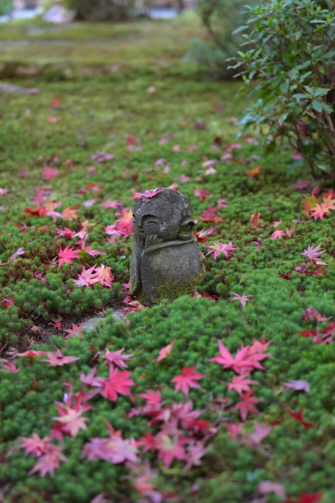 圓光寺 十牛之庭わらべ地蔵の紅葉